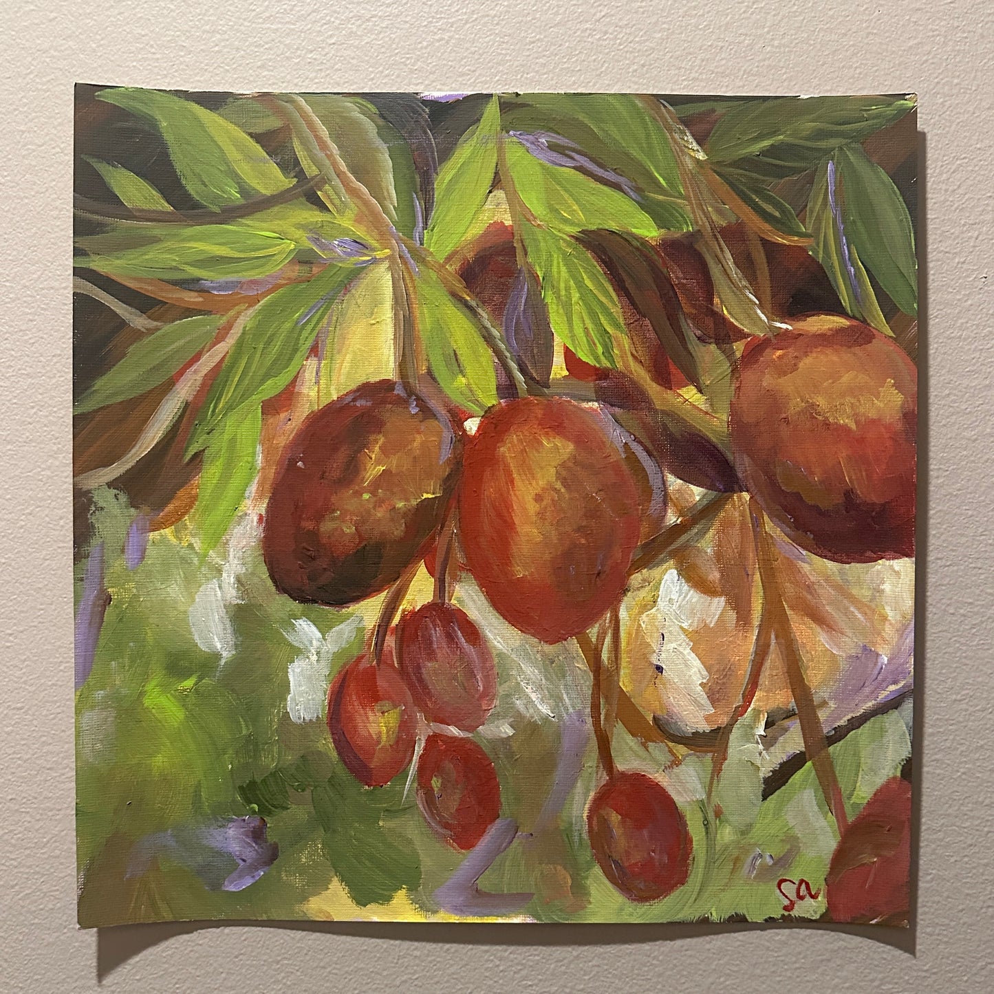 Mangoes