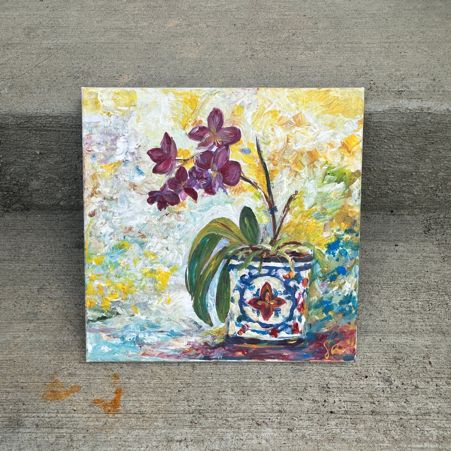 Orchid 1
